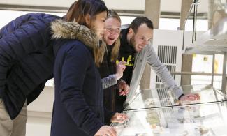 People looking at museum cases