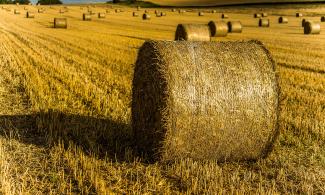 Hay bale