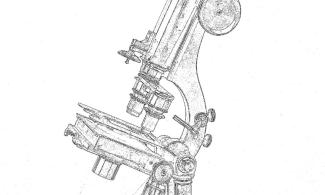 Line drawing of a microscope 