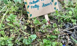 Small sign next to wild flowers.