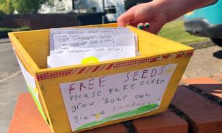 box containing free sunflower seeds