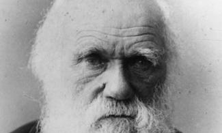 Charles Darwin as an old man, bald with a long white beard 
