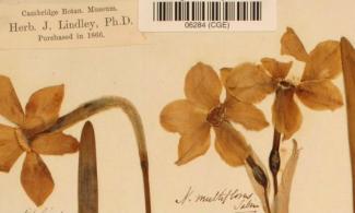 Herbarium