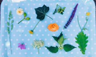 Image of flowers, leaves and grasses on a tray