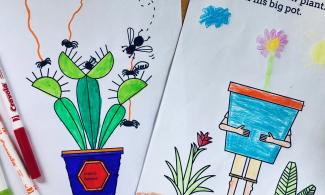 Image of two botanic garden colouring sheets 