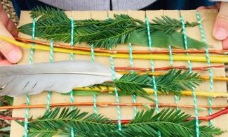 Image of plants woven into cardboard loom