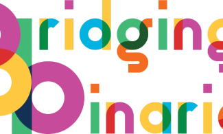 Bridging Binaries logo