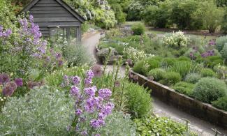 Scented Garden