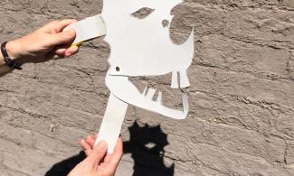 Photograph of a shadow puppet monster face