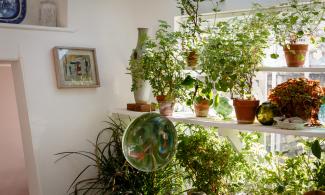 House tour