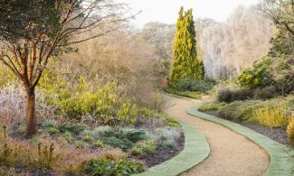 The Winter Garden path
