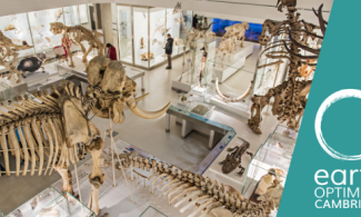 Lower gallery at the Museum of Zoology
