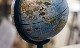 Image of world globe depicting animals 