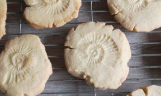 biscuits with ammonits shapes pressed in to them