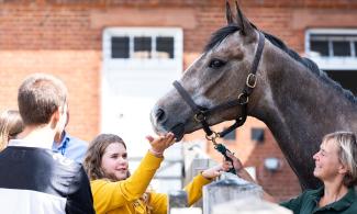 Child with family feeding horse