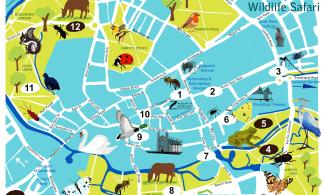 Cambridge city map overlaid with safari locations and animal illustrations
