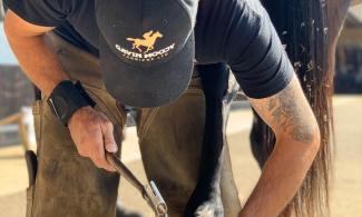 Farrier shoeing a horse