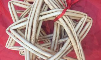 Willow stars