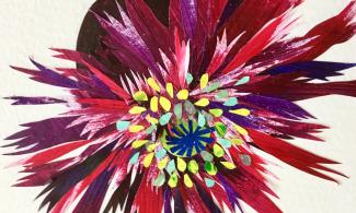 collage opium poppu
