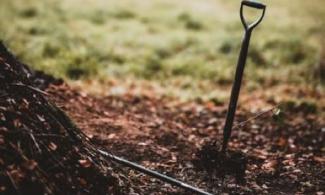 a compost heap and spade
