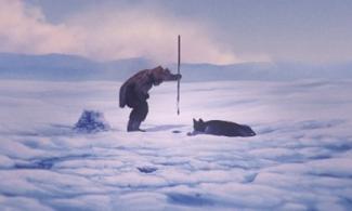 Giant Bear