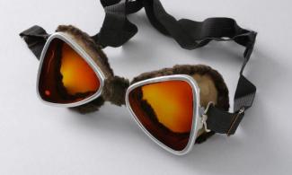 Polar Museum goggles 