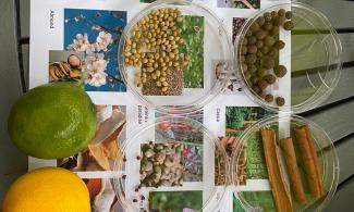 gin spices and flavourings