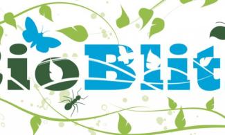 BioBlitz logo