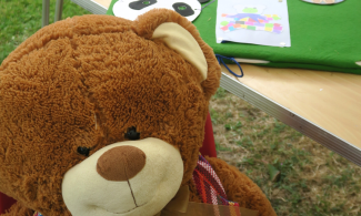 Picture of a Teddy Bear 