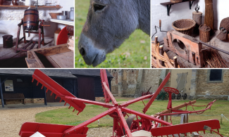 Various images of Fenland Life