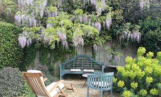 a view of a garden