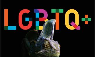 LGBTQ+ logo