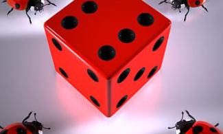Ladybird and dice pic