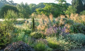 Mediterranean beds
