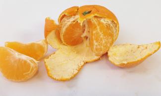 a half peeled satsuma