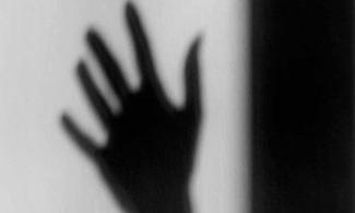 shadow hand