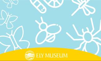 Outline of assorted illustrated insects against a blue and yellow background