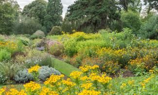 Systematic Beds