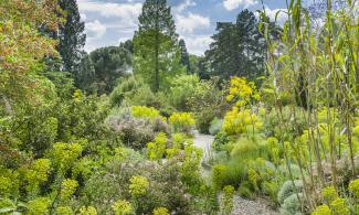 Mediterranean beds