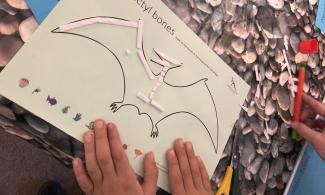 Child making a paper Ichthyosaur skeleton