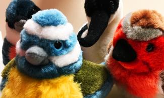Cuddly bird toys