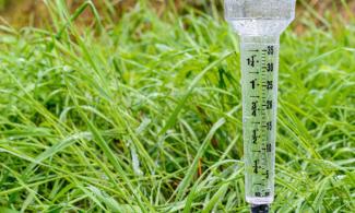 plastic rain gauge with background of grass