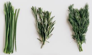 bunches of herbs