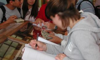 children in the museum gallery