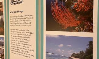 Climate Change display panel