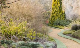 Winter Garden