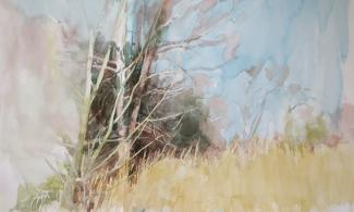 watercolour image of trees