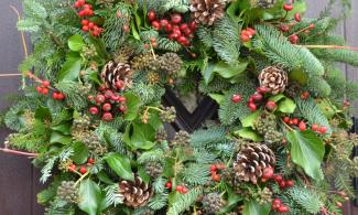 a Christmas wreath