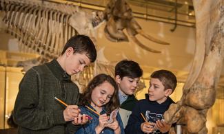 Children in the lower gallery
