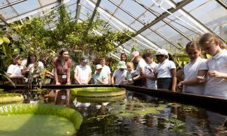 Class of schoolchildren in white tops gathered around the pond in tropical wetlands house, they are with a teacher in a red jumpsuit